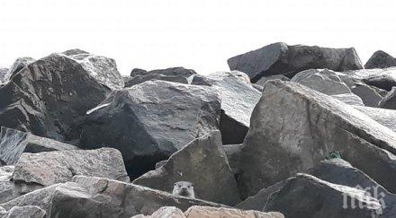 бургазлийка тръгна разходка плажа попадна снимки