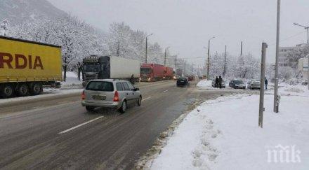 хайка терора тировете враца дападжии изгоряха заради тарикатлъка