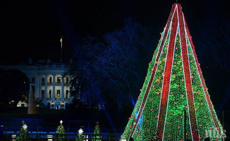 Мелания Тръмп запали светлините на главното коледно дърво в САЩ