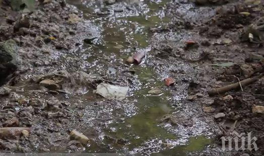 Ловеч въстана заради нелегално бунище