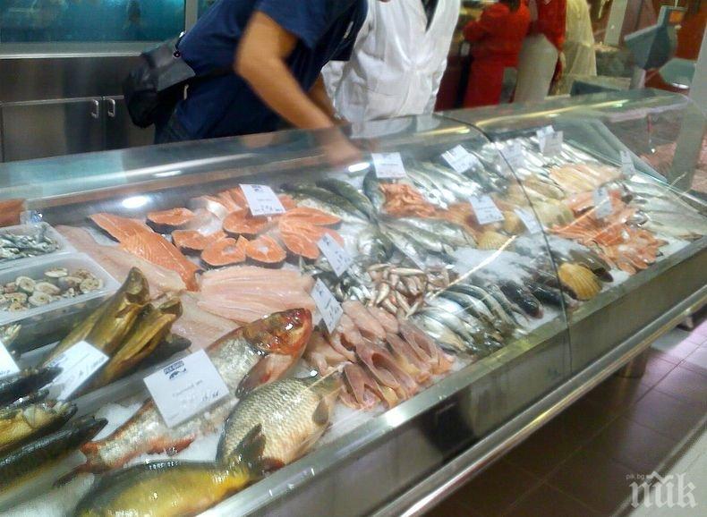 Тръгват извънредни проверки на търговците на риба