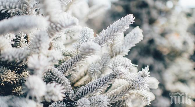 Затопляне в средата на декември? Ето какво време ни очаква през следващите 15 дни