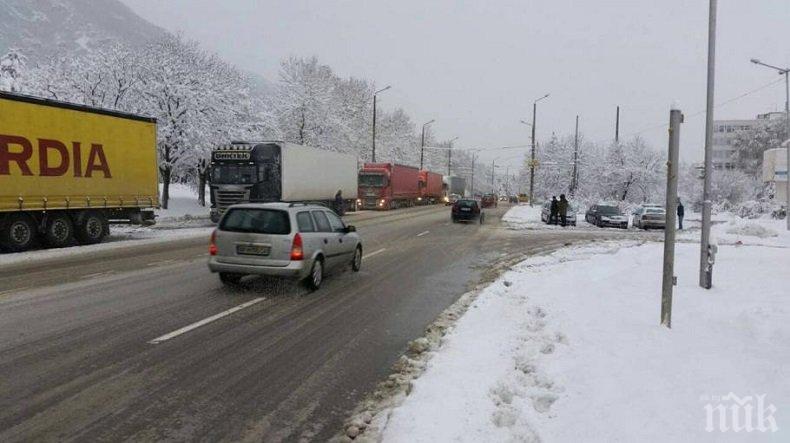 Хайка срещу терора на тировете във Враца - ето колко дападжии изгоряха заради тарикатлъка си