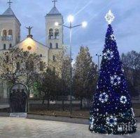 Коледната елха грейна и в Раковски