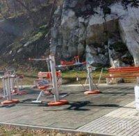 Тровят кучета с антифриз в Пловдив