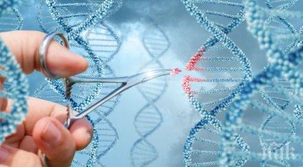 учени харвард също поискаха редактират човешки геном