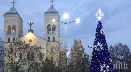 коледната елха грейна раковски