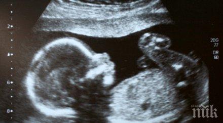 уникално жена присадена трупен донор матка роди здраве бебе