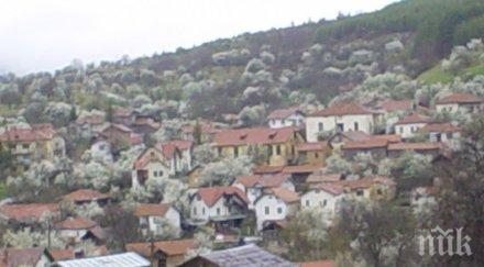 започва проучване добив злато кюстендилско