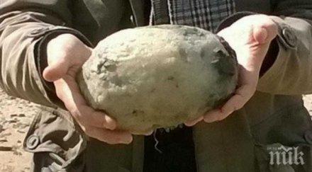 уникално семейство намери смрадлив камък спечели хиляди долара