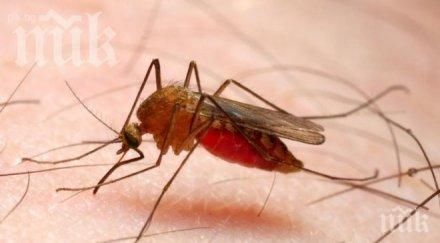 девет случая малария границата българия гърция