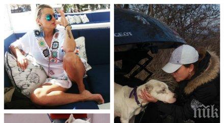 добрият пример ели владкова биг брадър спаси сигурна смърт отглеждано разплод куче снимки