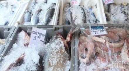 дъното сме европа консумация риба