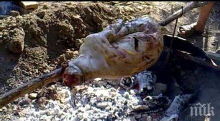 наказателна акция сготвиха чеверме коза изяла парите стопаните