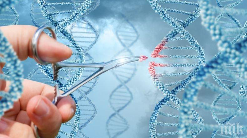 Учени от Харвард също поискаха да редактират човешки геном