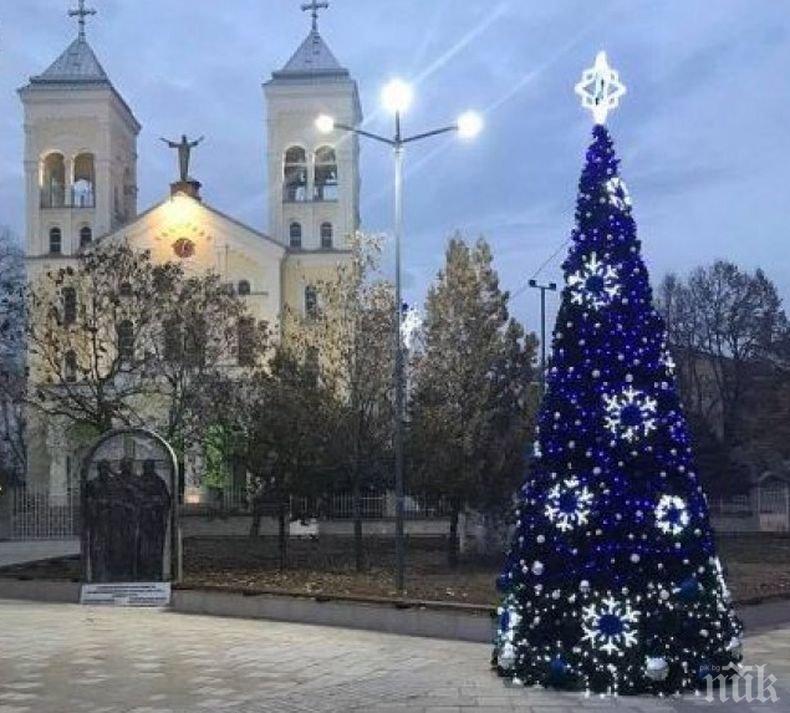 Коледната елха грейна и в Раковски