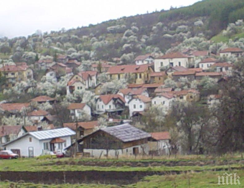 Започва проучване за добив на злато в Кюстендилско