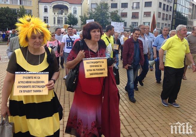Пчелари излизат на протест, искат държавно подпомагане