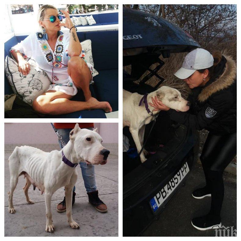 ДОБРИЯТ ПРИМЕР: Ели Владкова от Биг Брадър спаси от сигурна смърт отглеждано за разплод куче (СНИМКИ)