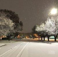 Над 300 000 без ток и 1300 отменени полета заради снежна буря в САЩ
