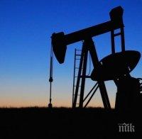 Страните от ОПЕК не се договориха за съкращаване на добива на петрол