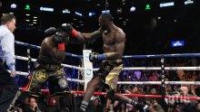 От WBC наредиха незабавен реванш между Дионтей Уайлдър и Тайсън Фюри