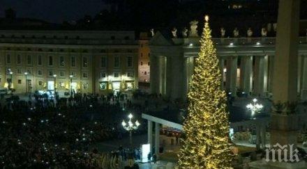 метрова елха грейна площад свети петър