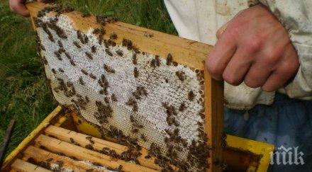 пчеларите излизат протест