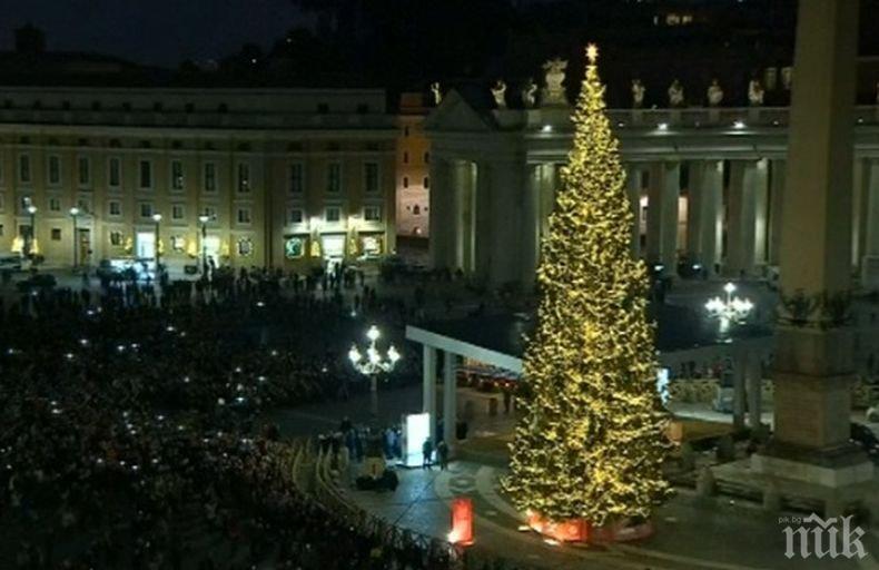 23-метрова елха грейна на площад Свети Петър