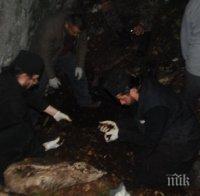 СВЕТИНИ: Монаси от Бигорския манастир откриха кости на убити от сръбските власти български свещеници