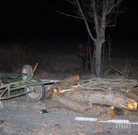 ЖЕСТОК ИНЦИДЕНТ: Кола помете каруца в Сливенско, загинаха четирима