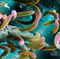 Учените изчислиха: 70% от микробите живеят в недрата на Земята