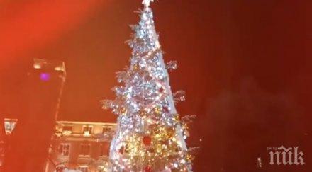 коледни чудесии ценител красотата спипан краде коледната елха плевен