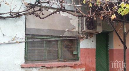 бутат последното гето тухларната пловдив