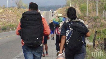 съединените щати заловиха мигранти мексико