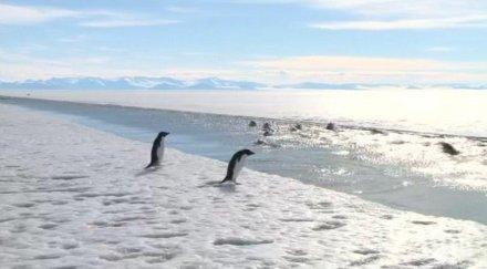 заминава втората група националната антарктическа експедиция