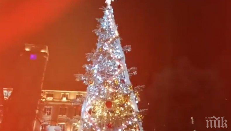 КОЛЕДНИ ЧУДЕСИИ: Ценител на красотата е спипан да краде от коледната елха на Плевен