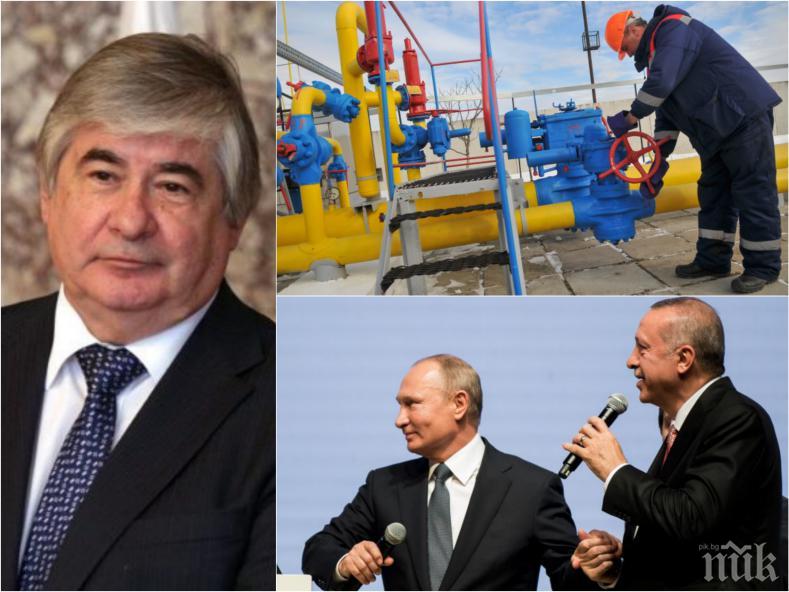 ГОРЕЩА НОВИНА - Руският посланик потвърди: Турски поток ще минава през България