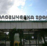 Столичният зоопарк иска цената на билетите да скочи от 4 на 6 лева