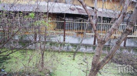 опасно мръсните води захарния завод пловдив изливат градската канализация