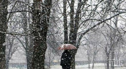 софия побеля обличайте топло карайте внимателно