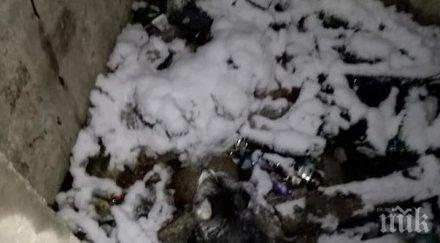 хъски падна асансьорна шахта благоевград