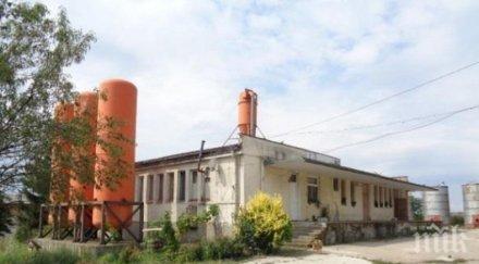 тезгяха разпродават фабрика ракия спирт видинско