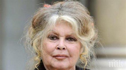 брижит бардо сваля макрон