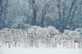 ОТКРИХА: Студът удължава живота