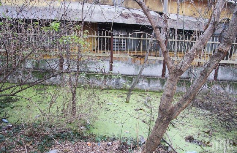 ОПАСНО: Мръсните води от Захарния завод в Пловдив се изливат в градската канализация