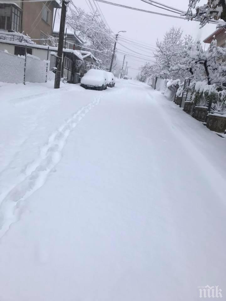 Сняг покри Балканите, в Сърбия достигна над половин метър