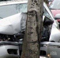 24-годишна надрусана и пияна шофьорка шибна аудито си в дърво