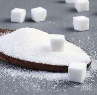 Захарта променя микрофлората в човешкия организъм