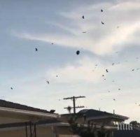 МИСТЕРИЯ: Ято гарвани кръжи край НЛО (ВИДЕО)